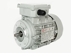 Электродвигатель АИС63A-4 0.12kW F IP55 V220/380/50