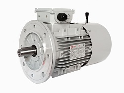 Электродвигатель АИС80C-6-Е 0.75kW F IP55 V220/380/50